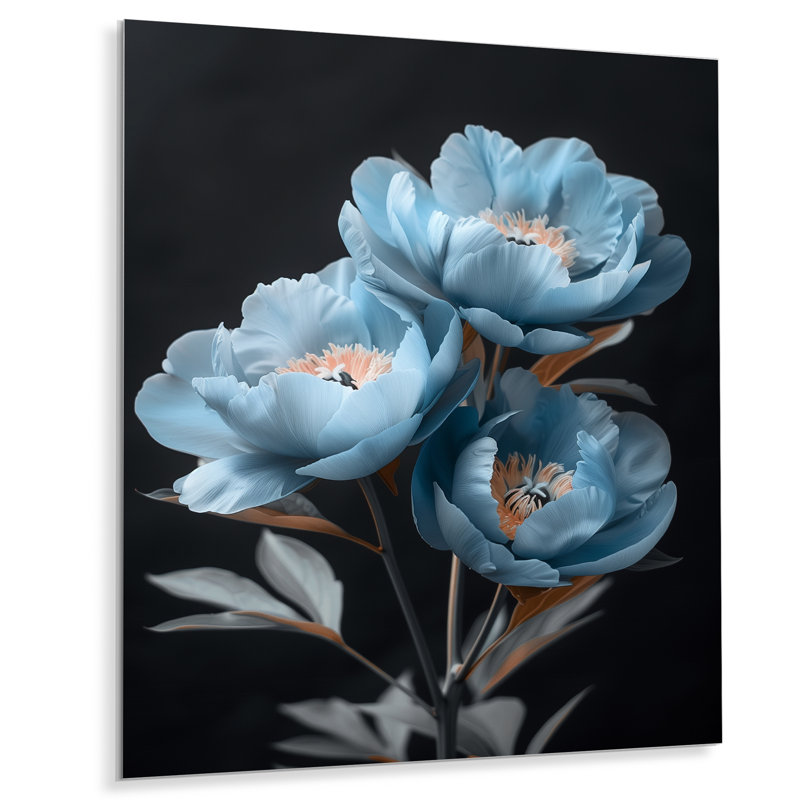 Robledo - pivoines, art mural, salon, H 16 po x l 32 po, Sans cadre