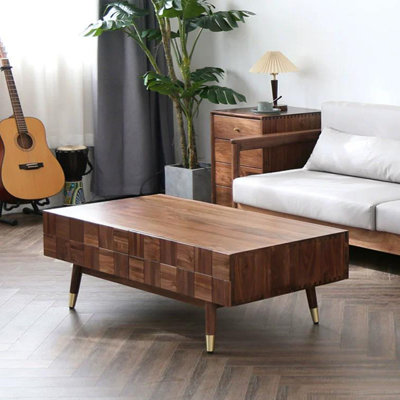Modern Simple Black Walnut Storage Coffee Table