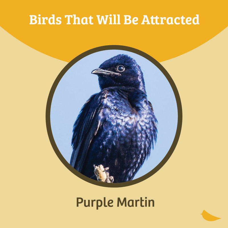 12 ft. Heavy Duty Telescoping Pole for Purple Martin House