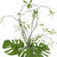Philo Leaf And Willow Branch Arrangement In A Clear Glass Vase