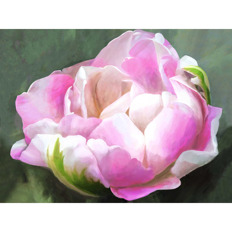 Gros plan sur une double tulipe - reproduction sur toile tendue, H 18 po x l 24 po