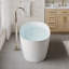 Baignoire autoportante à surface de trempage l 67 po x P 31 po avec bonde escamotable et trop-plein à rainure, blanc