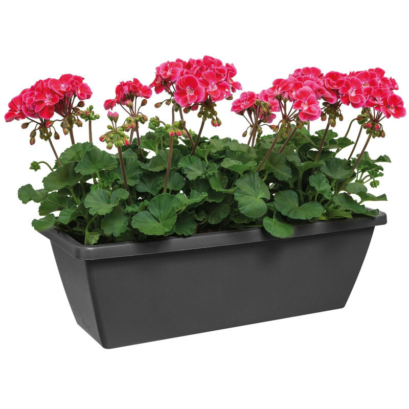 Pot Planter, Black