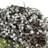 Bird Nests - Set of 6 - Green