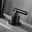 Widespread 2-handle Bathroom Faucet-70850183