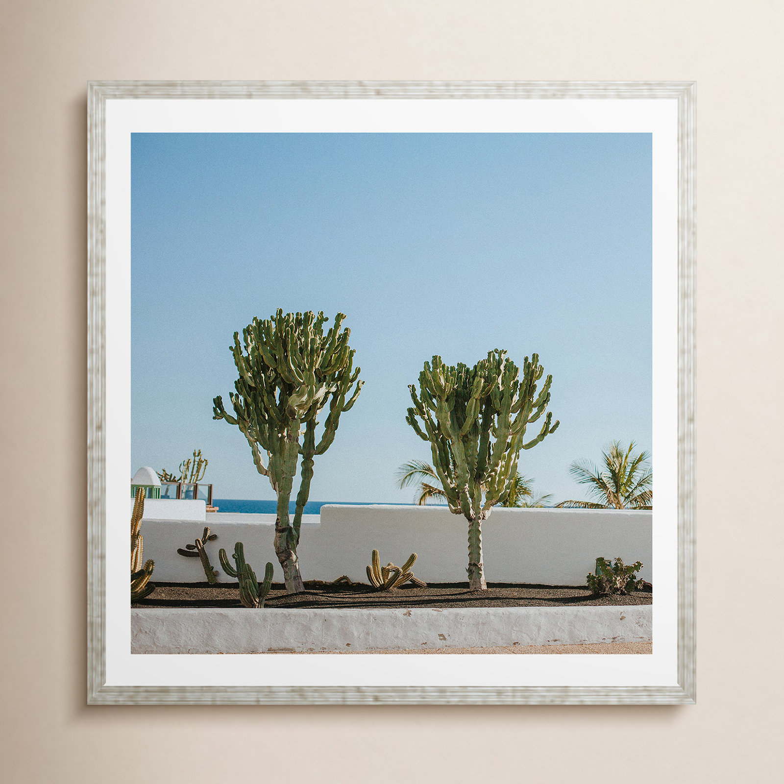 Zatanna "Hello Twiggs Three Cactus" Print, No, Silver Floater Framed, 36" H x 36" W x 2" D