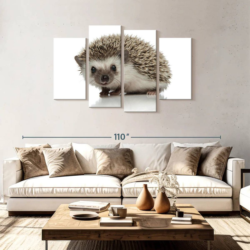 African Hedgehog