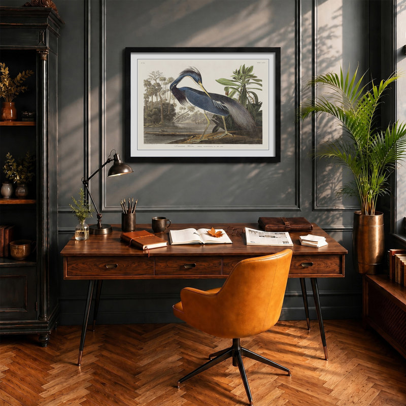 Louisiana Heron by John James Audubon - Framed Print, Black, 45cm H x 63cm W x 2cm D
