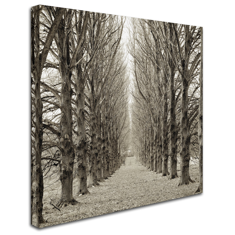 Alan Blaustein, «Hampton Gates Promenade III», reproduction de photo sur toile tendue, H 35 po x l 35 po x P 2 po