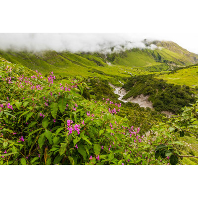 " Beautiful Trek In Uttarakhand " by Vivek_Renukaprasad