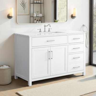 Shamar 48" Single Bathroom Vanity