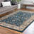 Artez Oriental Indoor Rug-1518426156