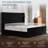 Velvet Upholstered Wingback Platform Bed-1004497204-1004497209