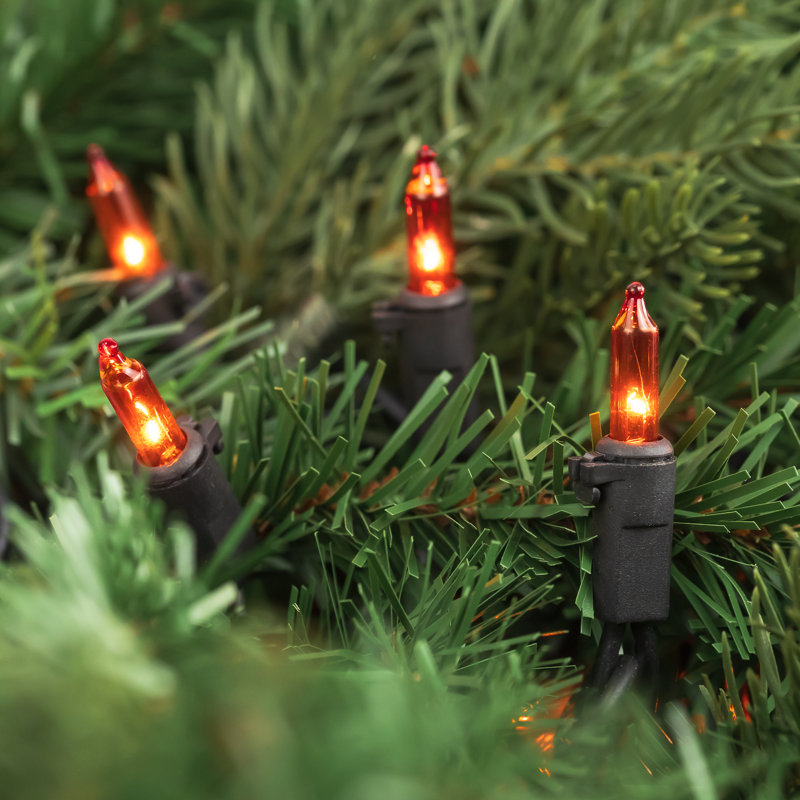 100-Count Mini Christmas Light Set 20.25ft Wire, Orange/Black