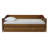 Anayelli Solid Wood Classic Daybed with Trundle-1531215804