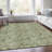 Machine Washable Indoor/Outdoor Xhevrie Aloe Rug-131971338