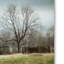 « an old gray grange », reproduction de photo sur toile tendue-31386316