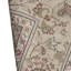 Oriental Area Rug