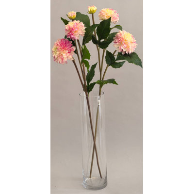 DAHLIA 2 BLOOMS 1 BUD