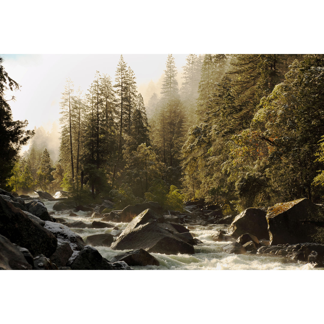 Merced River von Arturbo - Druck