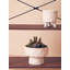 Anca Pot Planter-1951717294