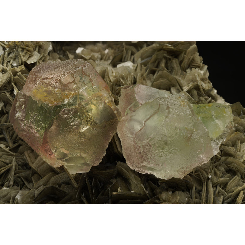 Stunning Fluorite on Muscovite from Pakistan