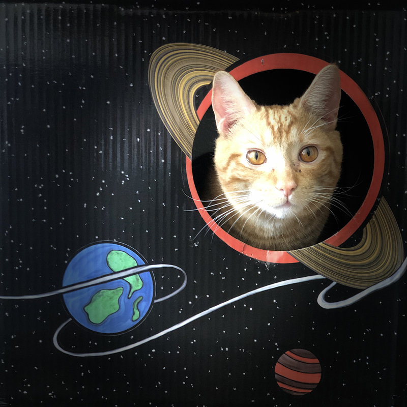 Maison pour chat Ermont