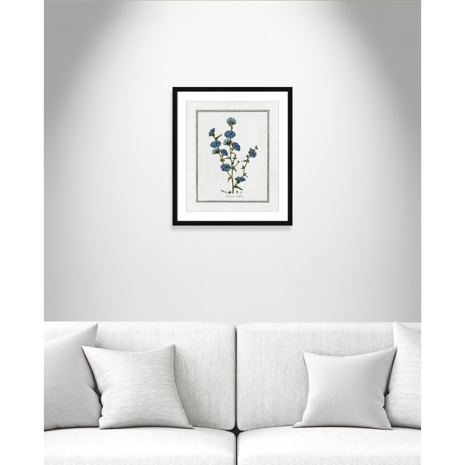 Colombe "Soft Botanical I" Print, Black Framed, 16" W x 19" H