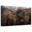 «Brampt Elephant Young Love»-108155456