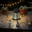 Dragonfly Shadow Projection Solar Hanging Lantern