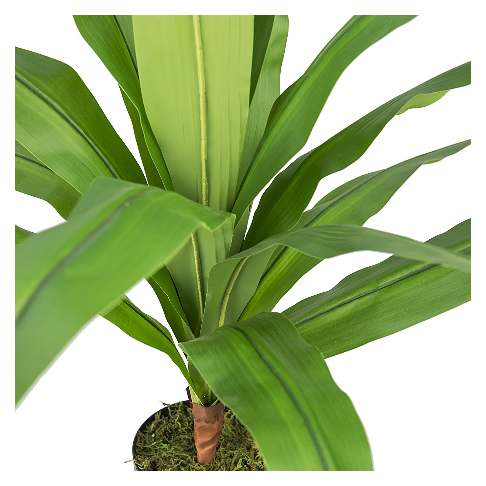 Yardley 36'' Faux Dracaena Plant in Pot