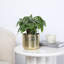 Handmade Metal Pot Planter