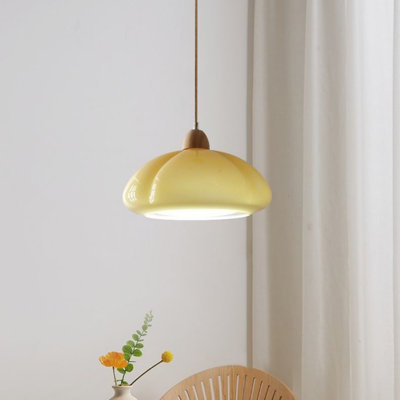 Colorful Dome - Shaped Pendant Lamps With Wooden Accents