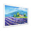 Beaux champs de lavande en fleurs avec maison - peinture sur toile-67406695-67406701