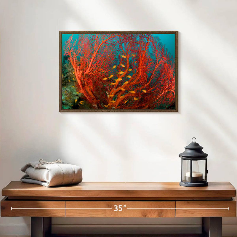 Corail de feu, 19 po x 13 po, Cadre flottant noyer