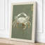 Specimen in Decay Rustic - Wrapped Canvas-803603471-803603573