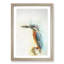 Perched Kingfisher in Abstract - Picture Frame Painting Print-55582879-55582883