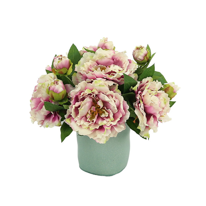 Arrangement de pivoines en pot
