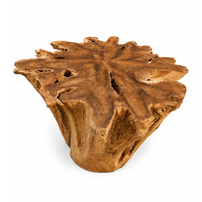 Premium Organic Solid Teak Root Coffee Table | One-of-a-Kind Sculptural Statement Piece