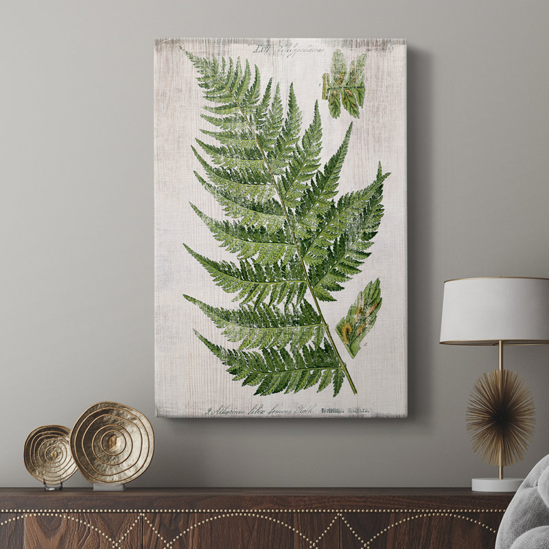 Greenhouse Fern II - galerie sur mesure, H 12 po x l 8 po