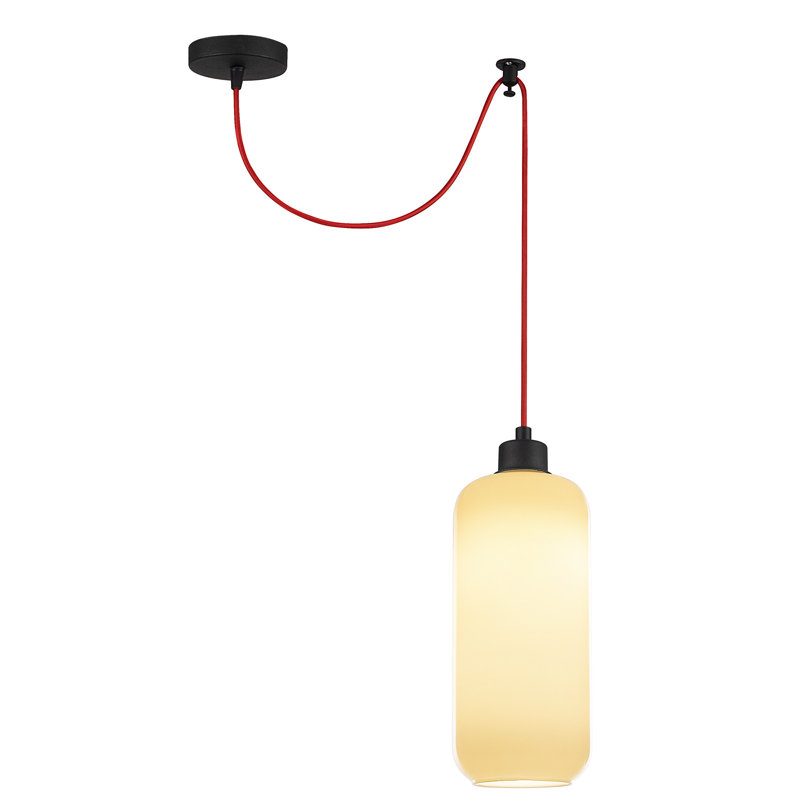 Luminaire suspendu cylindrique à 1 lumière Jak