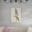 Lavender Curtis Botanicals II by Curtis - Painting Print-1931068099-1988758383