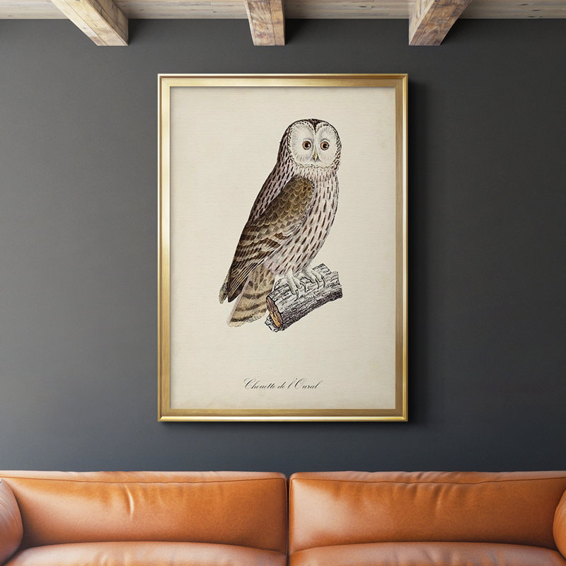 French Owls V, impression sur papier encadrée, Or, H 42,5 po x l 30,5 po x P 1 po