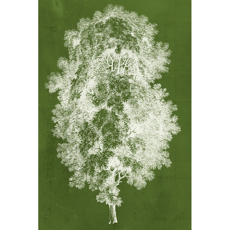Modern Arbor IV by Vision Studio - Wrapped Canvas Painting, 46cm H x 30cm W