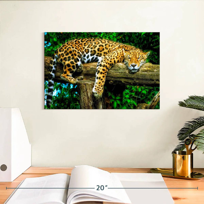 Brampt Sleepy Jaguar, H 8 po x l 12 po