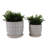 Stoneware And Ceramic Saucer Planters With Embossed Geometric Texture, Modern Decorative Design, Stylish Round Form, Versatile Display Accent, Set Of 2-1305415953