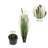Artificial Potted Green Straight Grass and Cattails.-1471713626