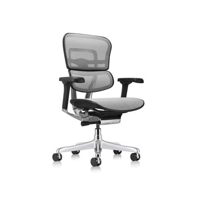 Ergohuman Task Chair by Eurotech Seating