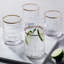 Carrick Gold 10 oz. Double Old Fashion Glasses