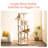 Amarina Cat Tree-85019316-113989230